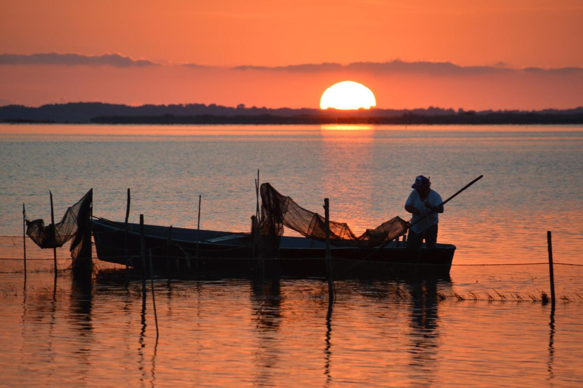 Le Stanze Di Ricci - Affittacamere Low Cost Lesina Extérieur photo